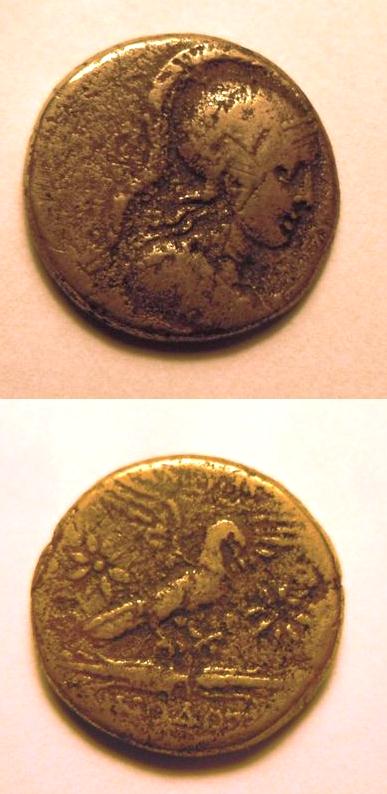 Need-Help-Identifying-Coin-|-Phrygia-Bronze