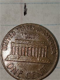 1970-S-Lincoln-Memorial-Penny