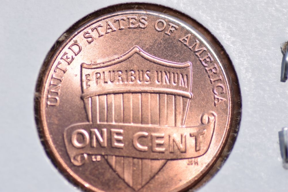 Die-Chips-In-2015-Penny?