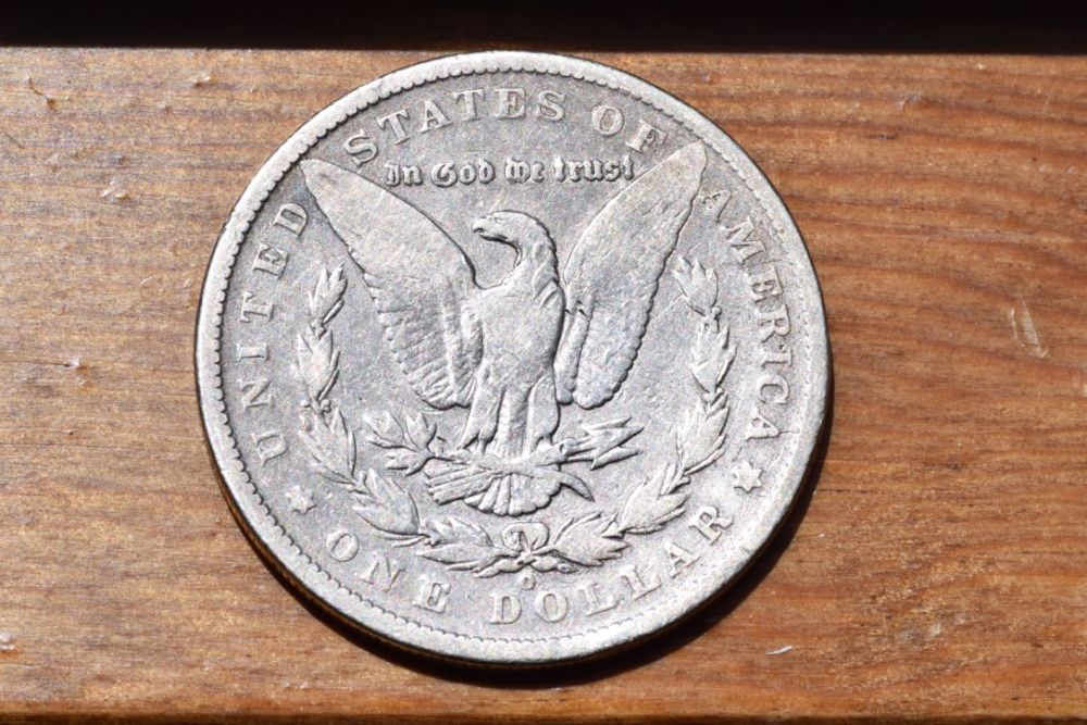 Morgans-Off-Weight?