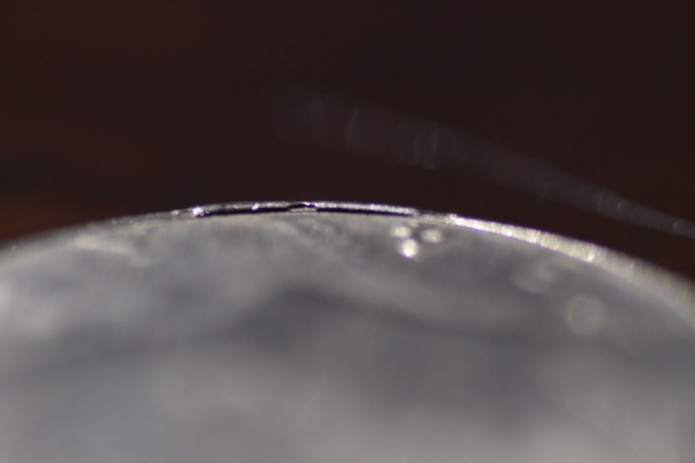 Kennedy-Half-Dollar-Cud?