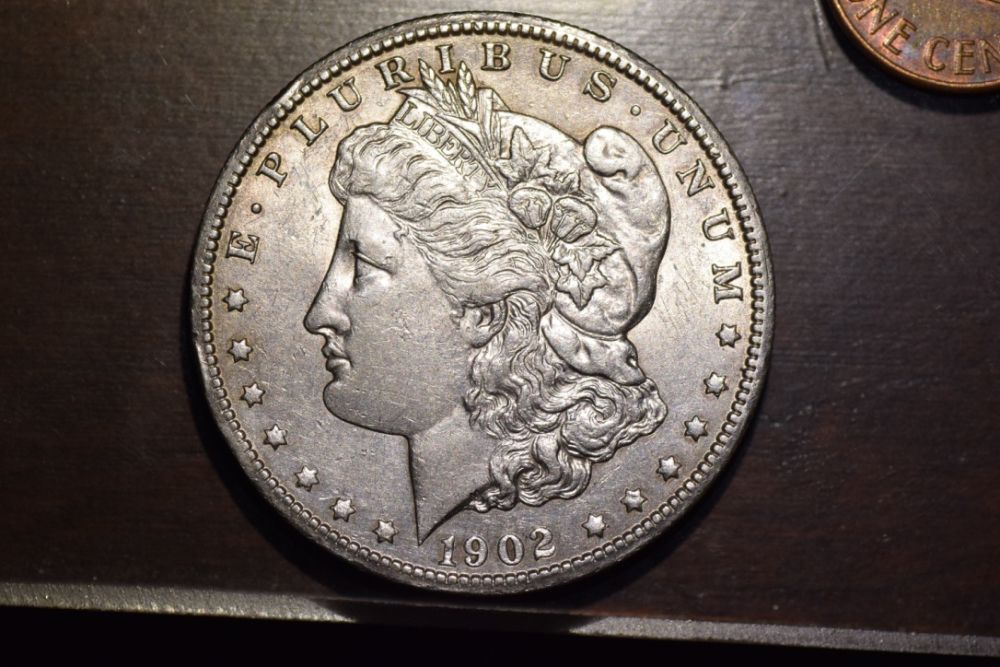 Need-Help-With-VAM-Identification