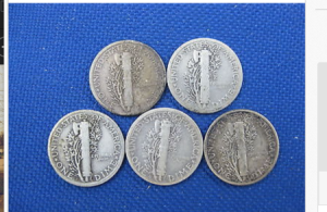Is-This-Mercury-Dime-Lot-A-Good-Buy?