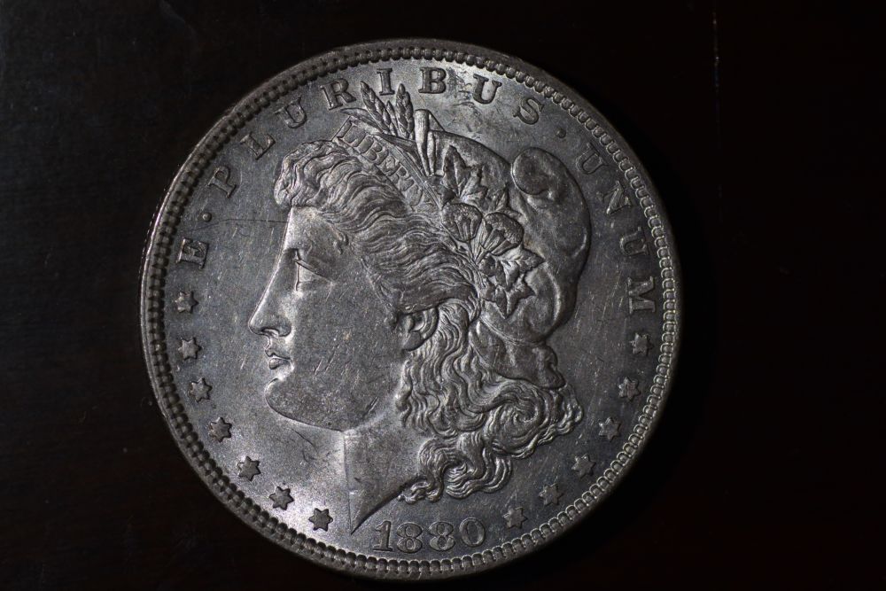 Starting-A-Set-Of-Silver-Dollars