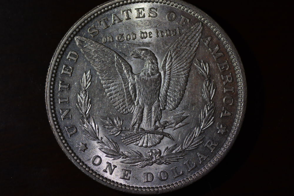 Starting-A-Set-Of-Silver-Dollars