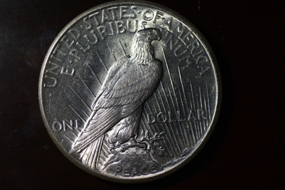Starting-A-Set-Of-Silver-Dollars
