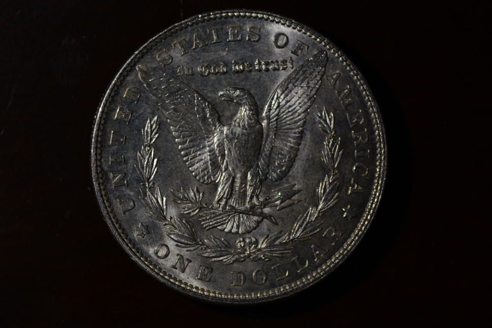 Starting-A-Set-Of-Silver-Dollars