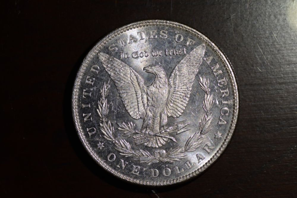 Starting-A-Set-Of-Silver-Dollars