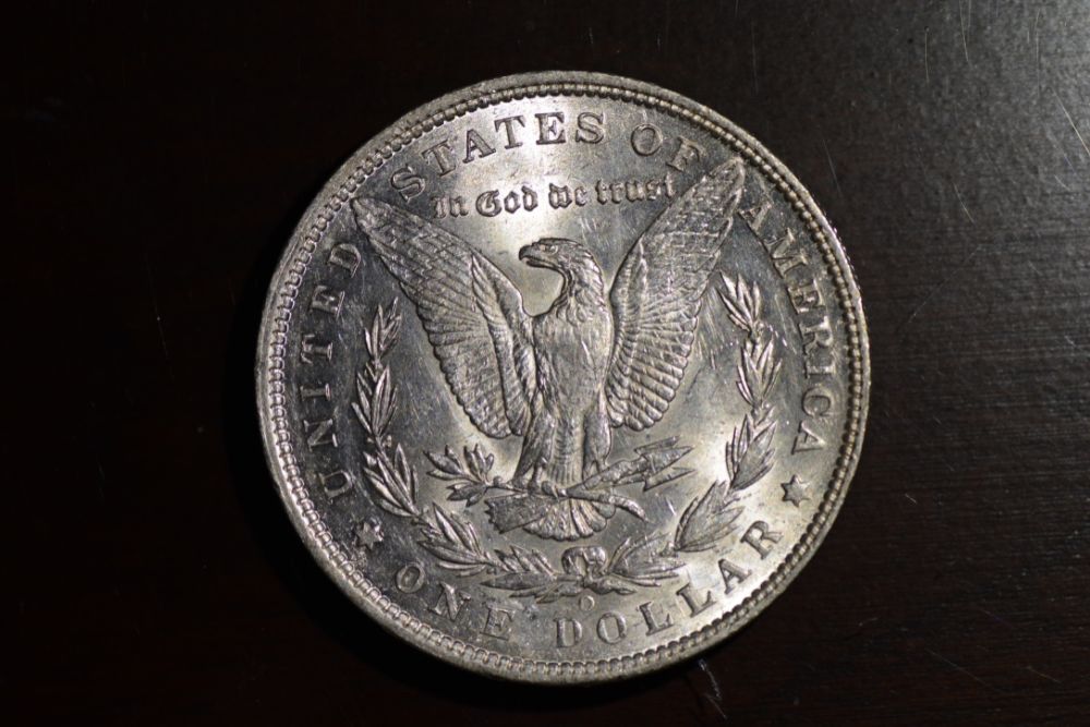 Starting-A-Set-Of-Silver-Dollars