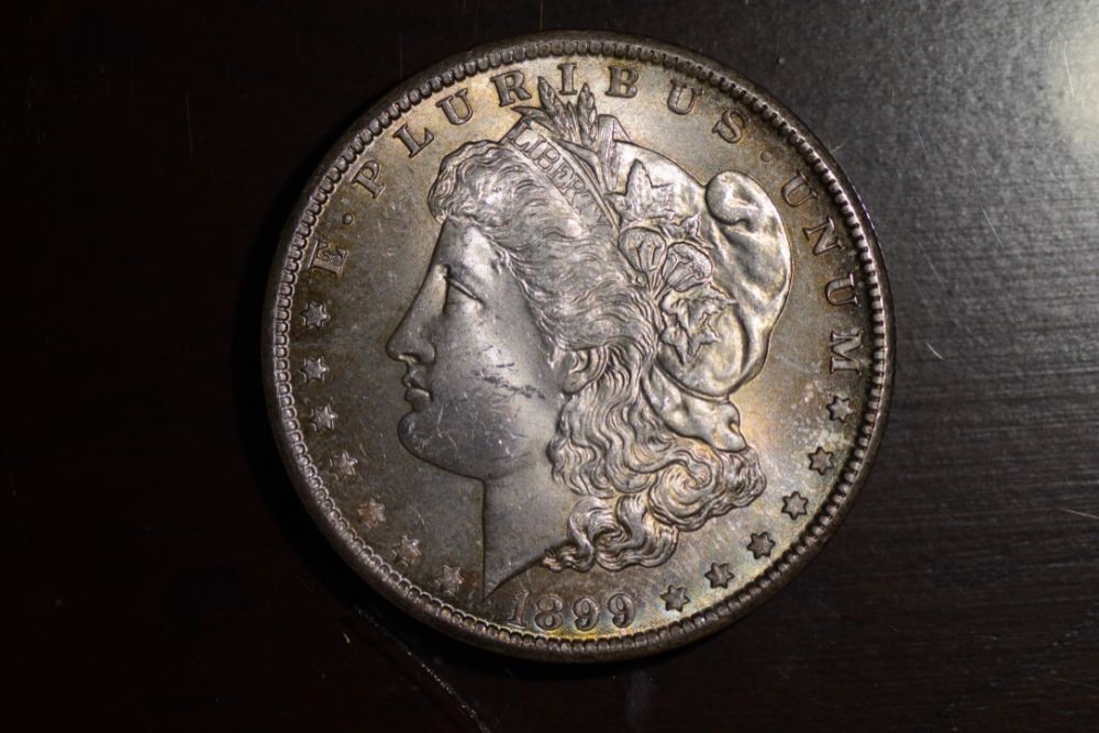 Starting-A-Set-Of-Silver-Dollars