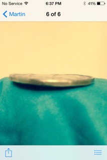 Loonie-Error?
