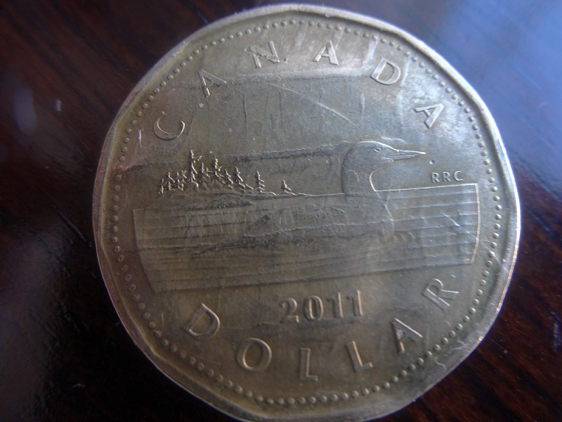 Loonie-Error?
