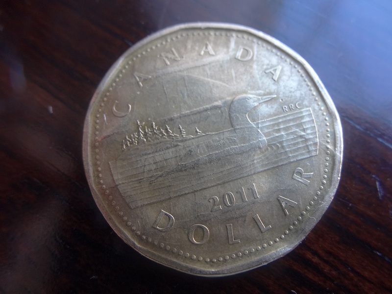Loonie-Error?