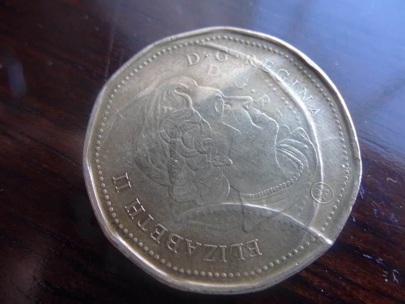 Loonie-Error?