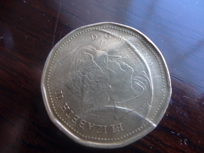 Loonie-Error?