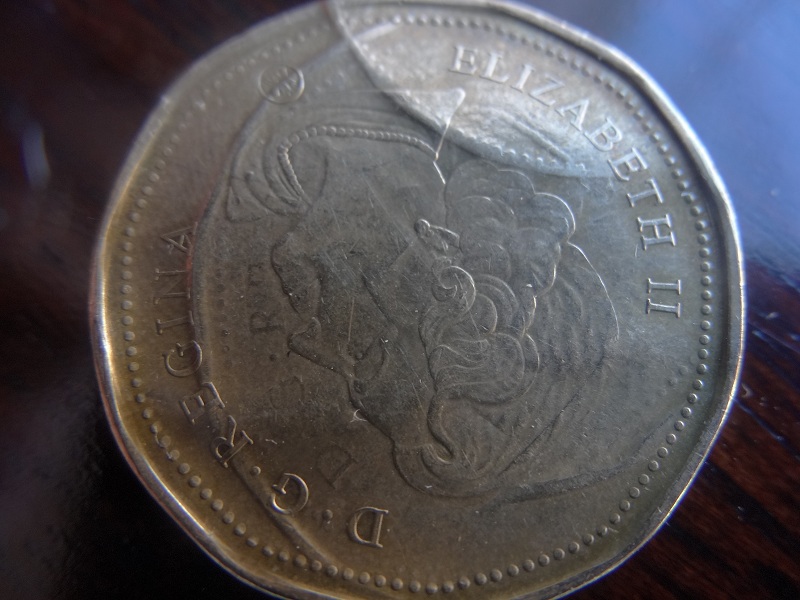 Loonie-Error?