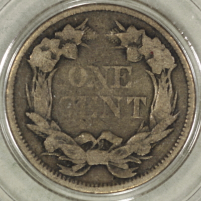 Yet-Another-Forum-Game---Numismatic-Go-Fish!