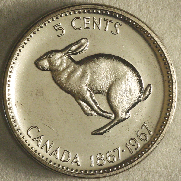 Post-Your-Rabbit-Coins