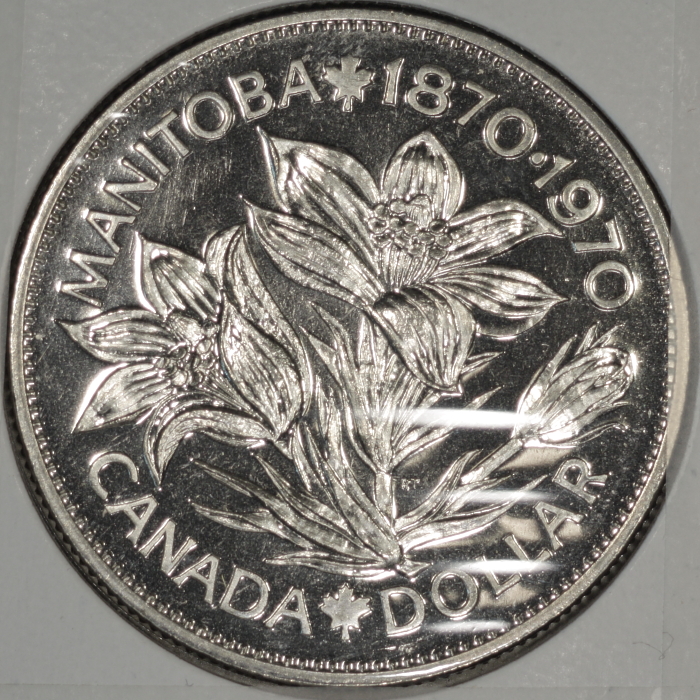I-Was-Convinced-To-Start-A-Large-Cents-Collection