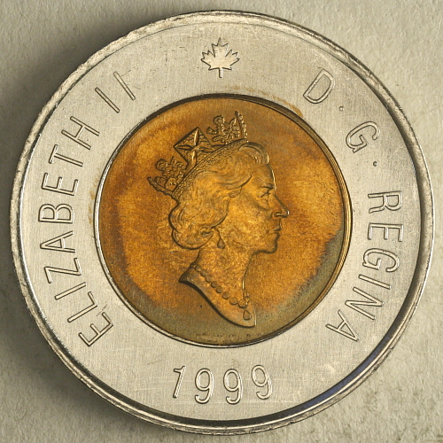 Please-Grade-My-1999-Toonie