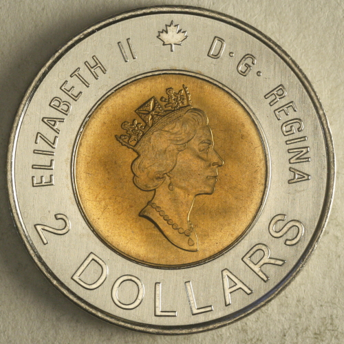 Please-Graded-My-2000-Toonie