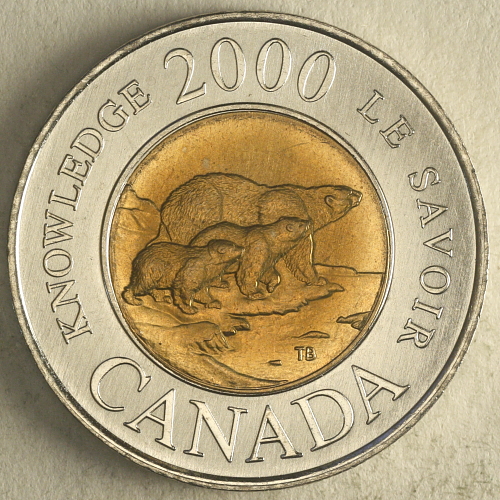 Please-Graded-My-2000-Toonie