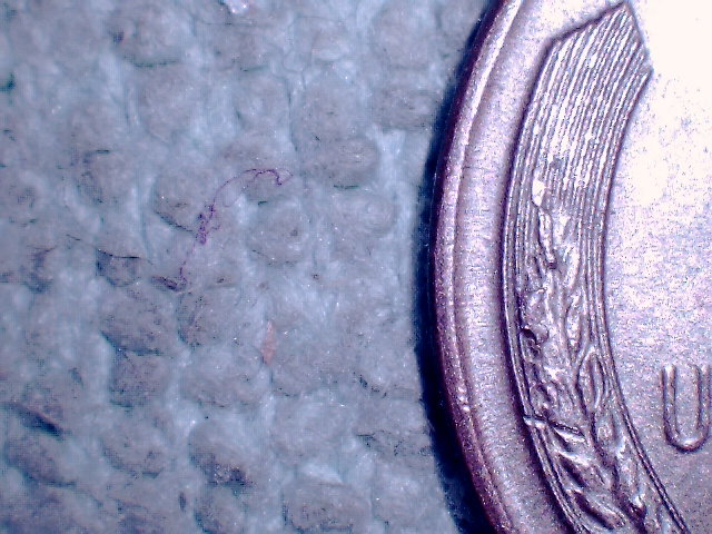 1957-PMD-Or-Not