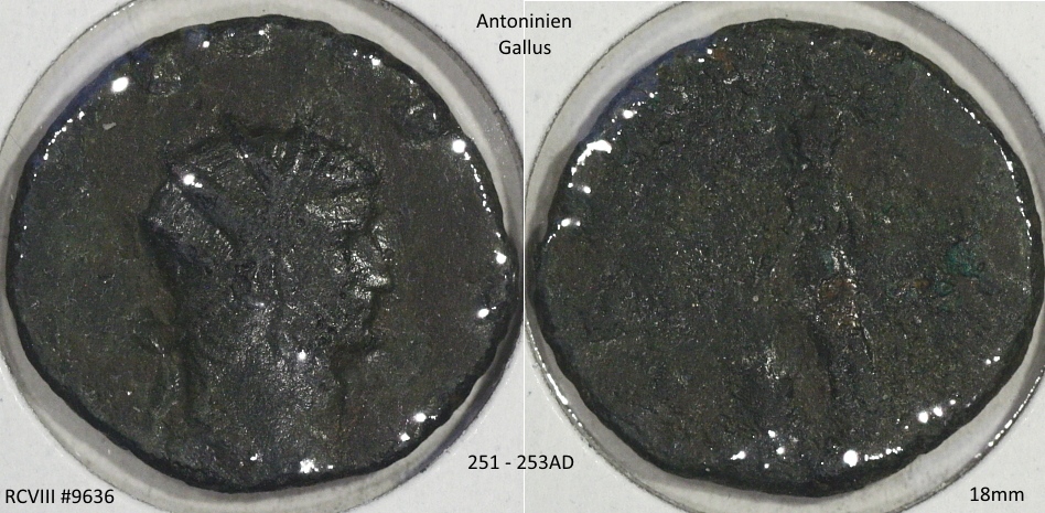 #2-To-Please-ID-Antoninien--Added-New-Pics