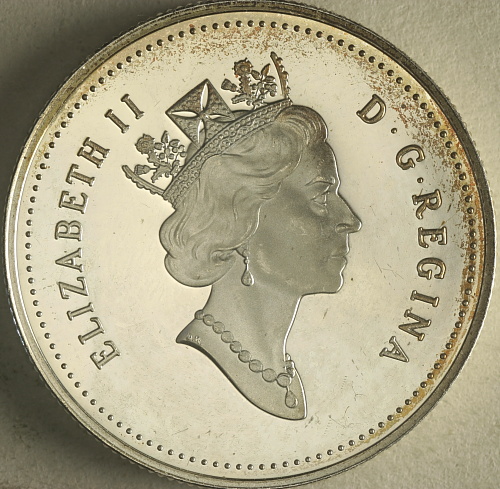 .50-Coins-Found-At-Bank