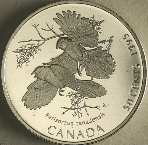.50-Coins-Found-At-Bank