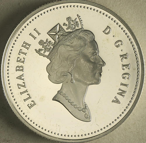 .50-Coins-Found-At-Bank