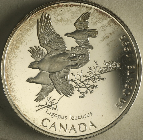 .50-Coins-Found-At-Bank