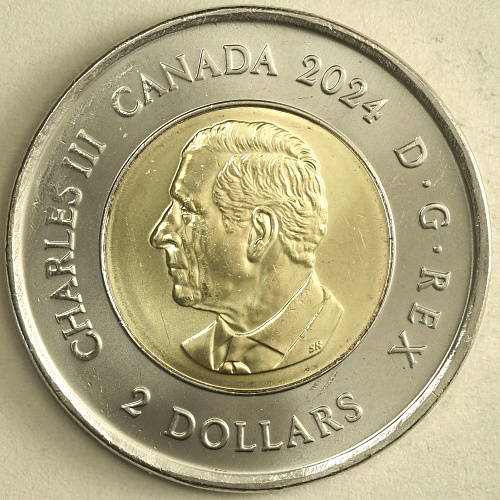 Toonies-I-Got-In-Toronto