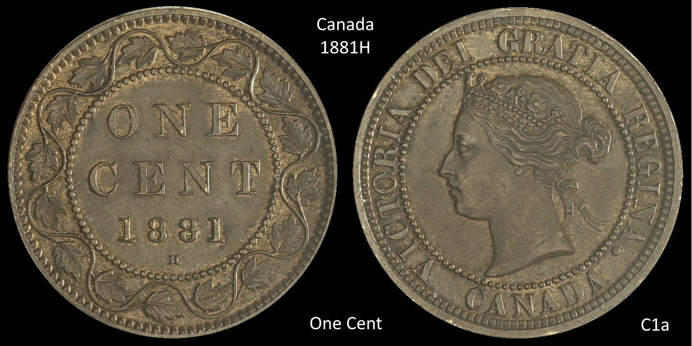 Collection-Of-Vickie's