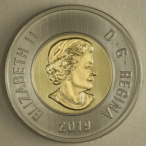 2018-Counterfeit-Toonie?