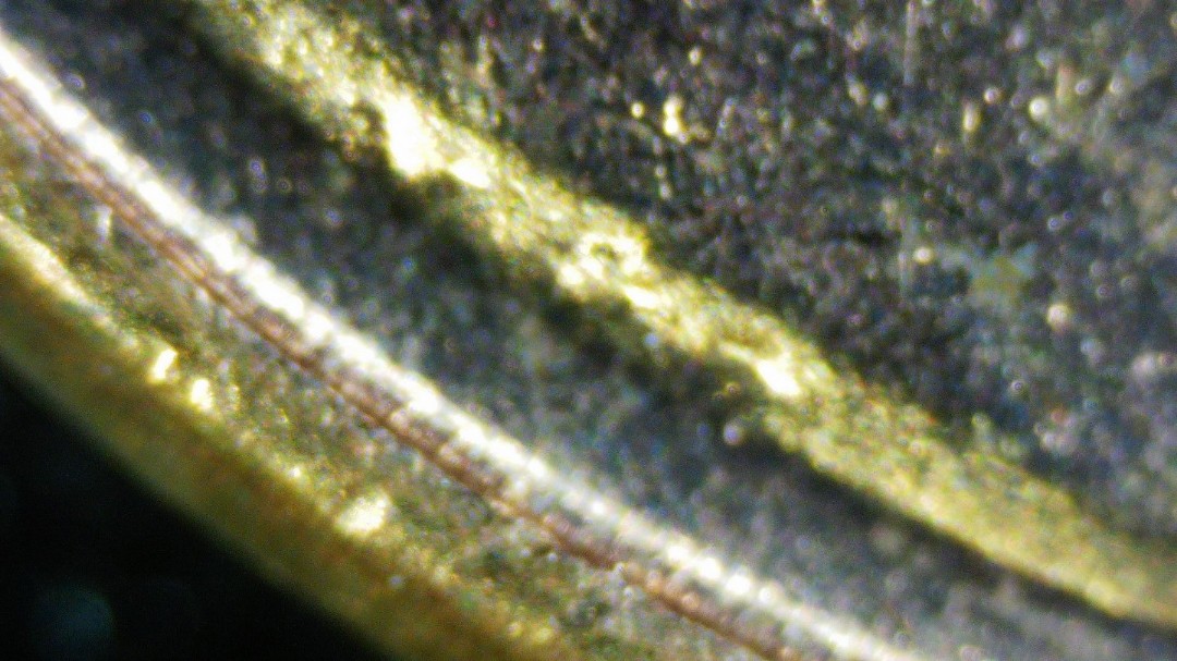 1972-No-VDB?-Compared-To-1958-D-Ghost-VDB?