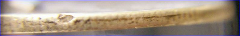Side-View-With-Black-Line-On-A-1920-D-Walking-Liberty-Half