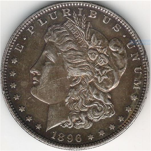 1896-Morgan-Dollar-Grading-Needed