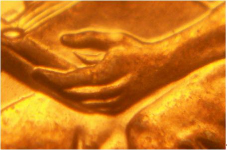 2009-Lincoln-Sitting-On-Log-Cent-Errror:-Grading-Request