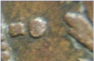 1912-S-Liberty-V-Nickel
