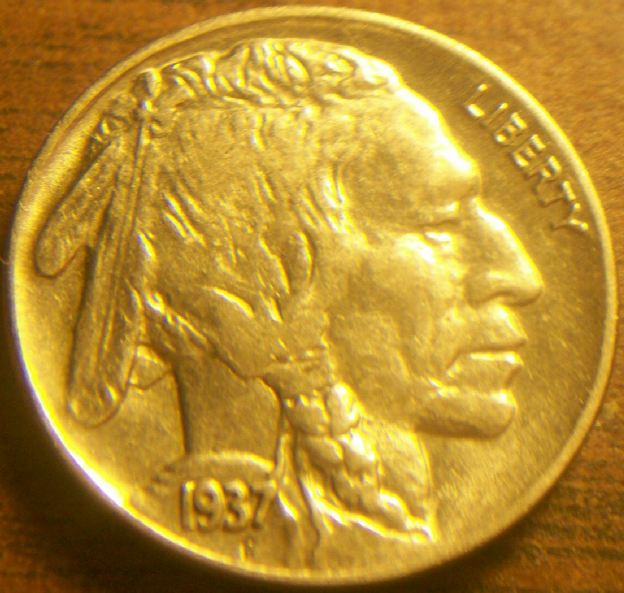 1936-And-1937-Buffalo-Nickel-Grades