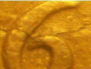 1936-Australian-Penny-Grade-And-Lamination-Error-?