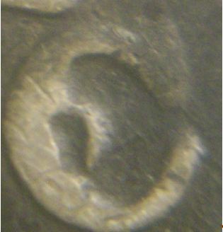 1833-Bust-Half-Dollar-&-1838-Bust-Half-Dollar:-Real?-&-Grade