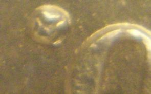 1883-Hawaii-25-Cents-MS-63-&-NGC-Holder---Grade-And-Verific.