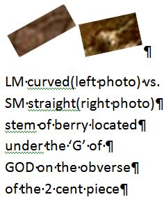1864-2-Cent-Piece,-Small-Or-Large-Motto?