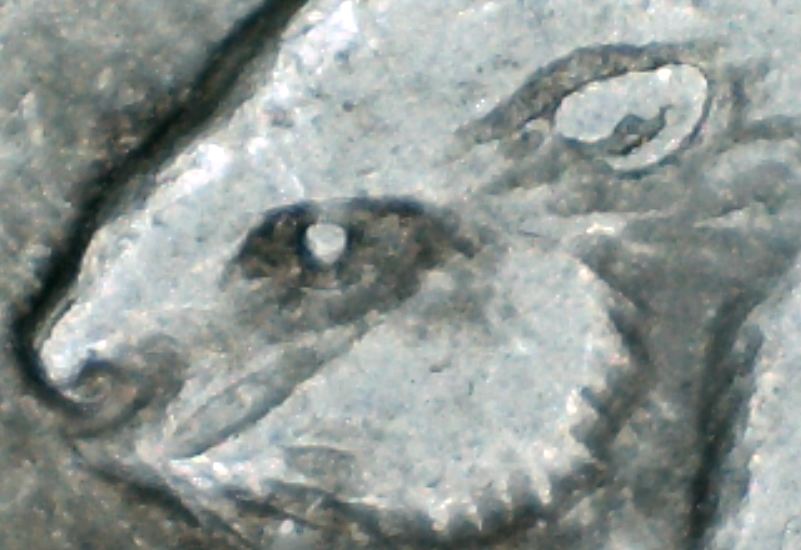 USB-Microscope-Photographing-Coins.
