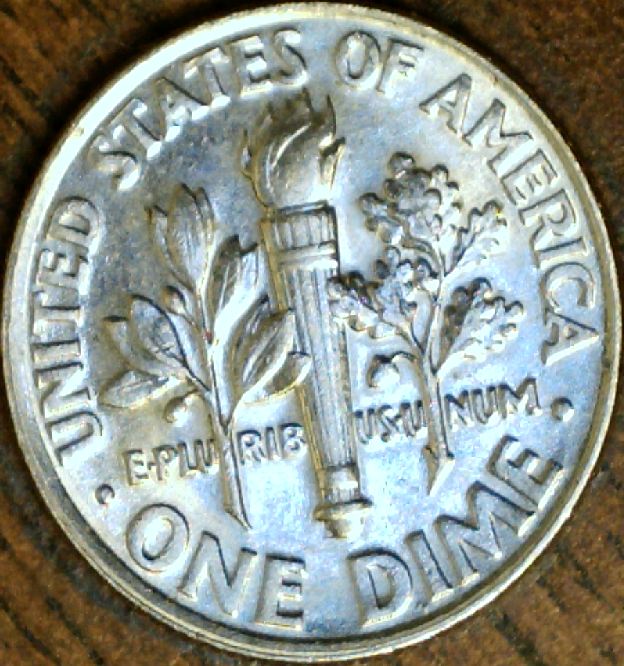 1995-D-Roosevelt-Dime-Scrathes-Perfectly-Outline-Rear-Head
