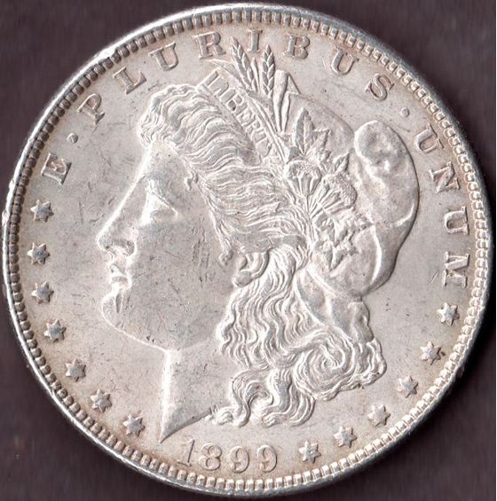 1899-Morgan-$-1---Grade-And-Valuation-Request