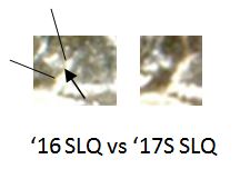 Could-This-Be-A-1916-SLQ?