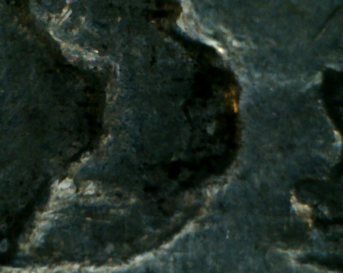 1930-Buffalo-Nickel-Variety-TypeS-Verific